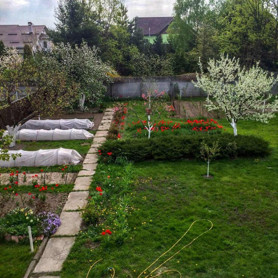 Guest House On Ivana Franka Novyye Petrovtsy Dış mekan fotoğraf